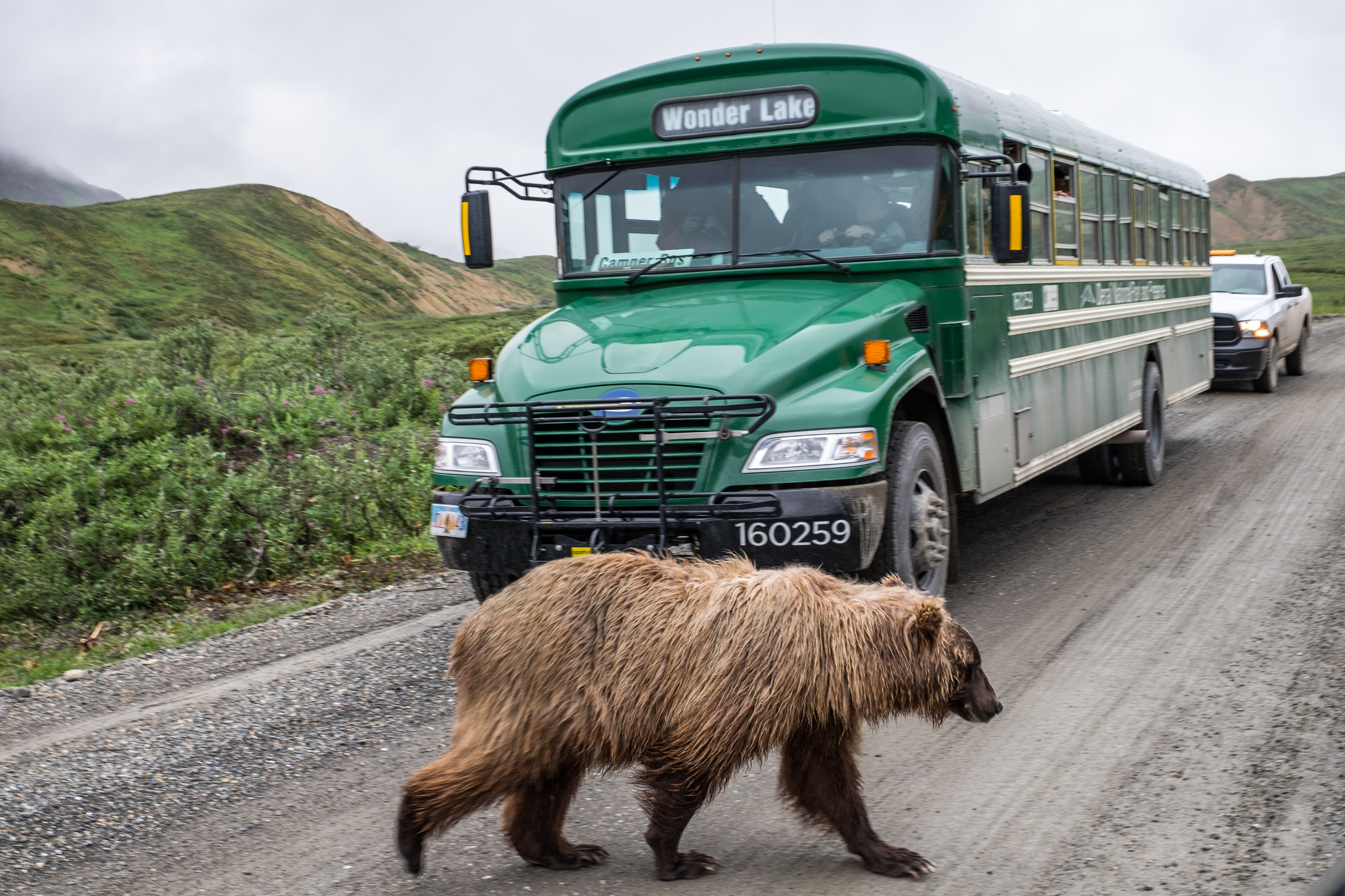 Denali National Park — The Greatest American Road Trip