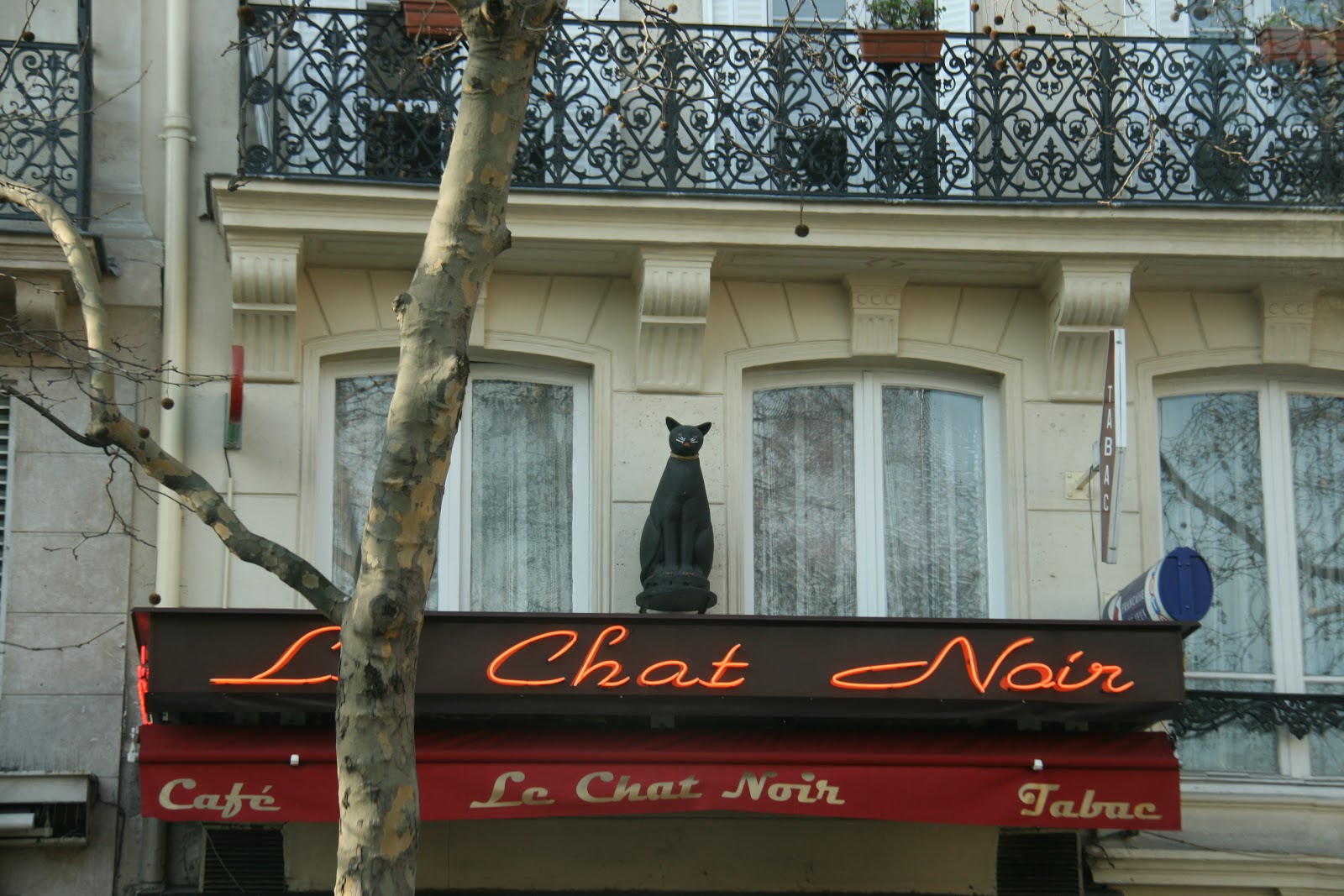Paris Through My Lens Samedi Signes Le Chat Noir
