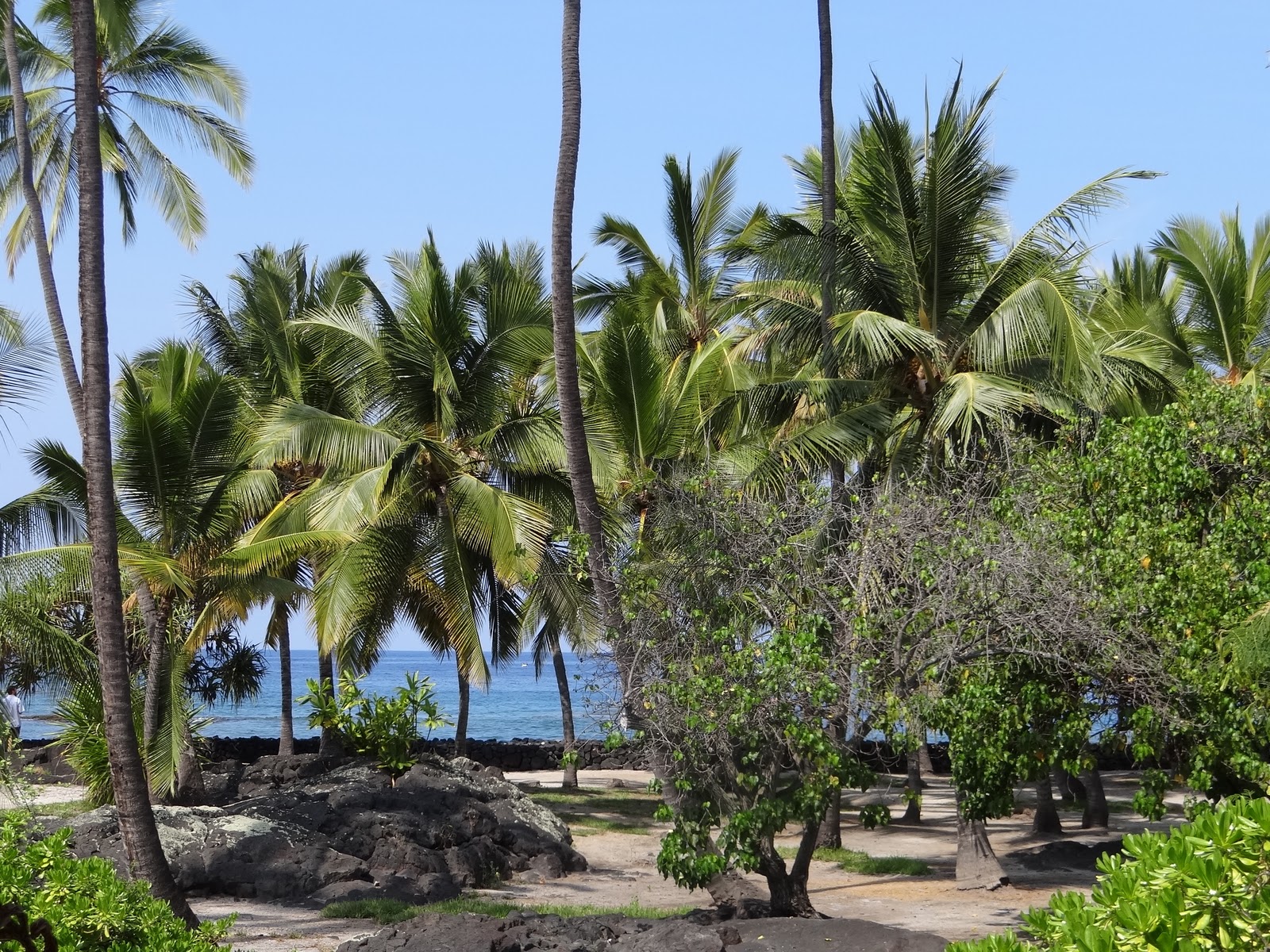 THE END The Big Island Pu'uhonua O Honaunau (Place of Refuge)